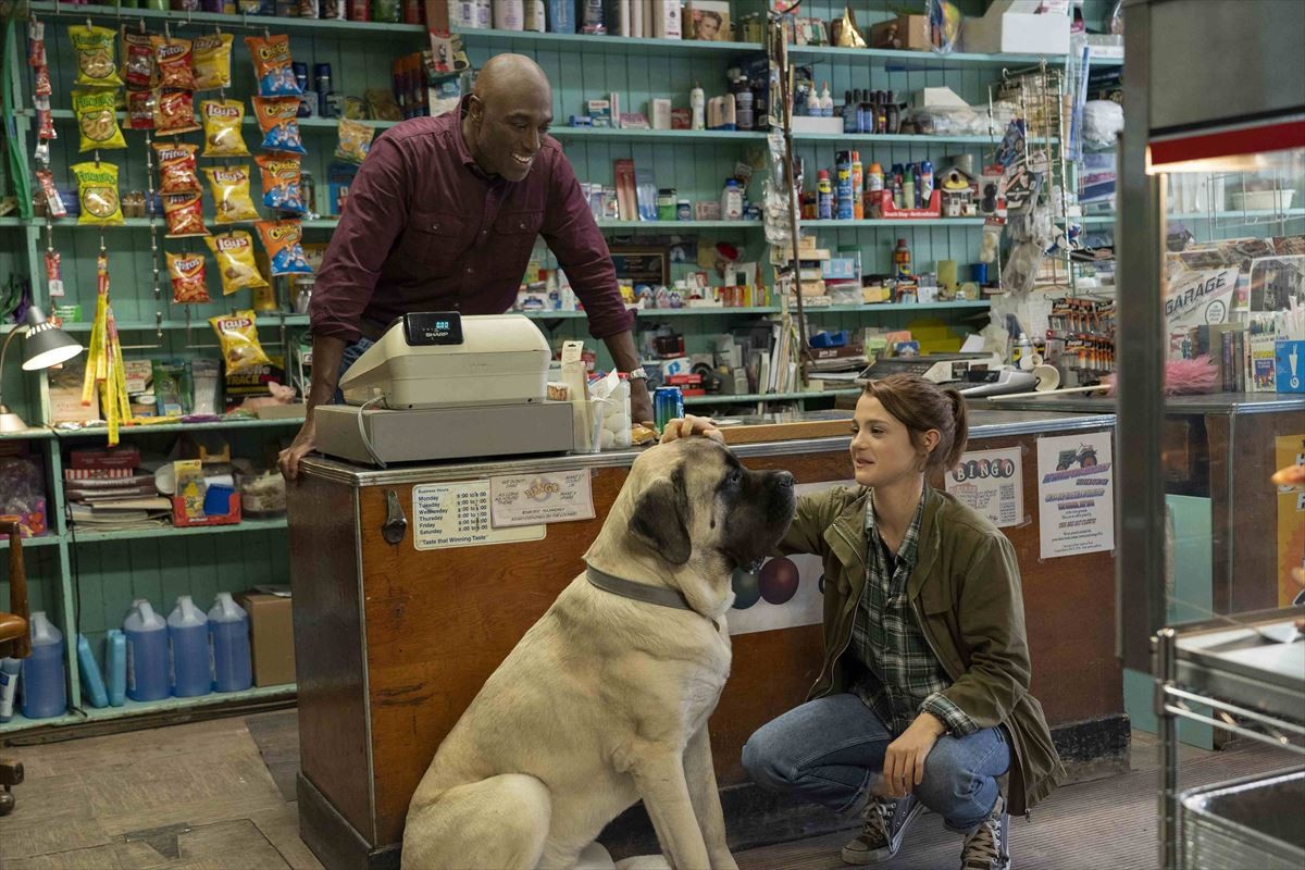 何度生まれ変わっても…『僕のワンダフル・ジャーニー』人と犬の絆に感動の本編
