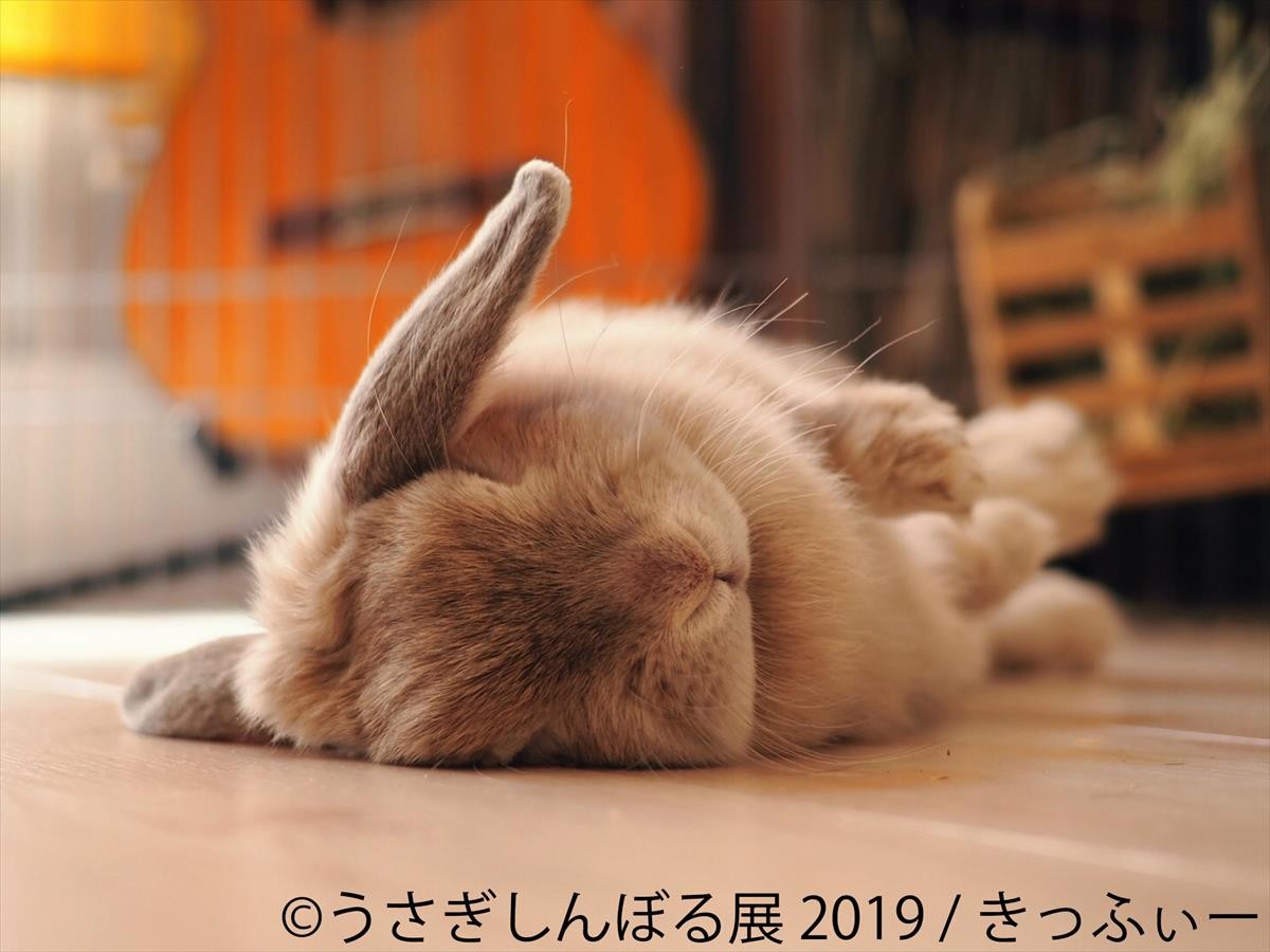 うさぎしんぼる展 2019