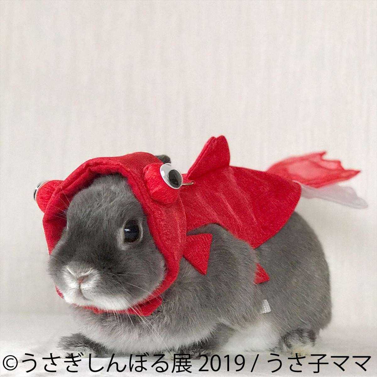 うさぎしんぼる展 2019