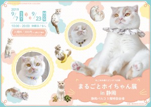 「ねこ休み展」スピンオフ企画「まるごとホイちゃん展 in 静岡」