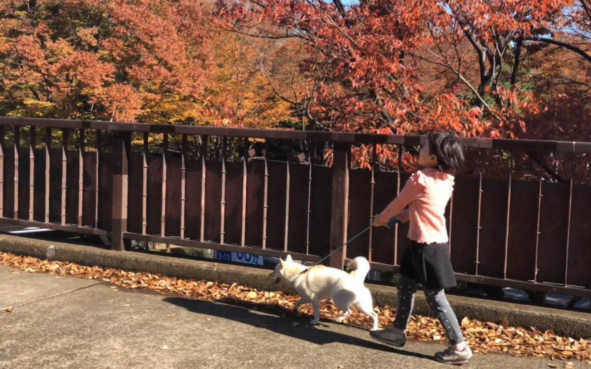 新津ちせの1年間の成長を切り取った『駅までの道をおしえて』場面写真解禁