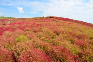 秋の旅行におすすめスポット ３選