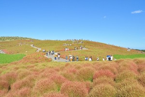 秋の旅行におすすめスポット ３選