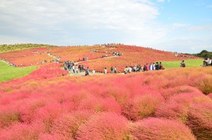 秋の旅行におすすめスポット ３選