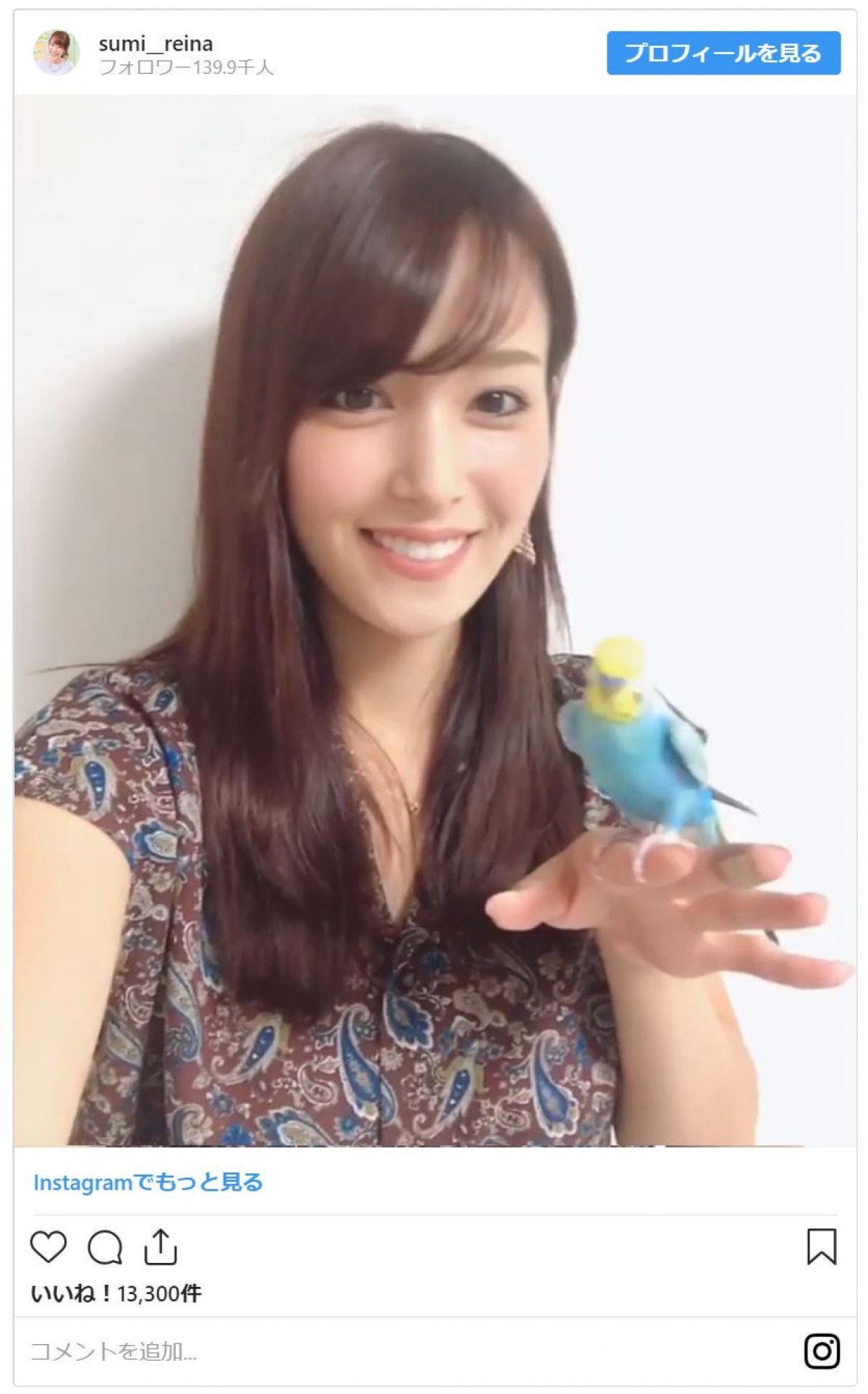 テレ東・鷲見玲奈アナ、ペットと戯れる動画 「NGテイク」もかわいい！