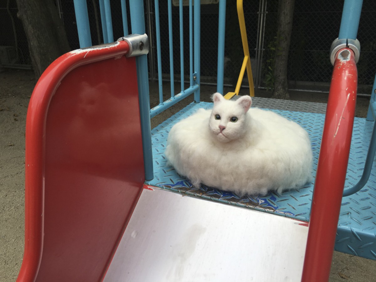 大丸須磨店「ねこ専」