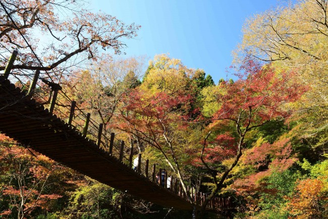 秋のおでかけ といえばやっぱり 紅葉 関東の 絶景紅葉スポット3選 19年9月21日 特集 レポート クランクイン トレンド