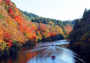 秋の旅行におすすめスポット 映える場所3選