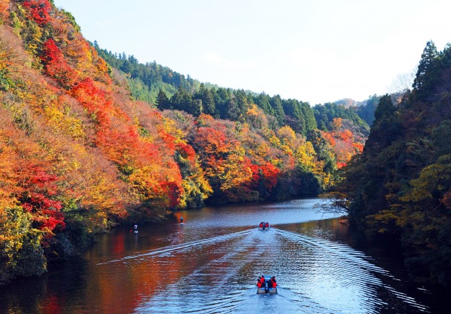 秋のおでかけ といえばやっぱり 紅葉 関東の 絶景紅葉スポット3選 19年9月21日 写真 特集 レポート クランクイン トレンド