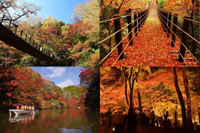 「秋のおでかけ」といえばやっぱり“紅葉”　関東の「絶景紅葉スポット3選」