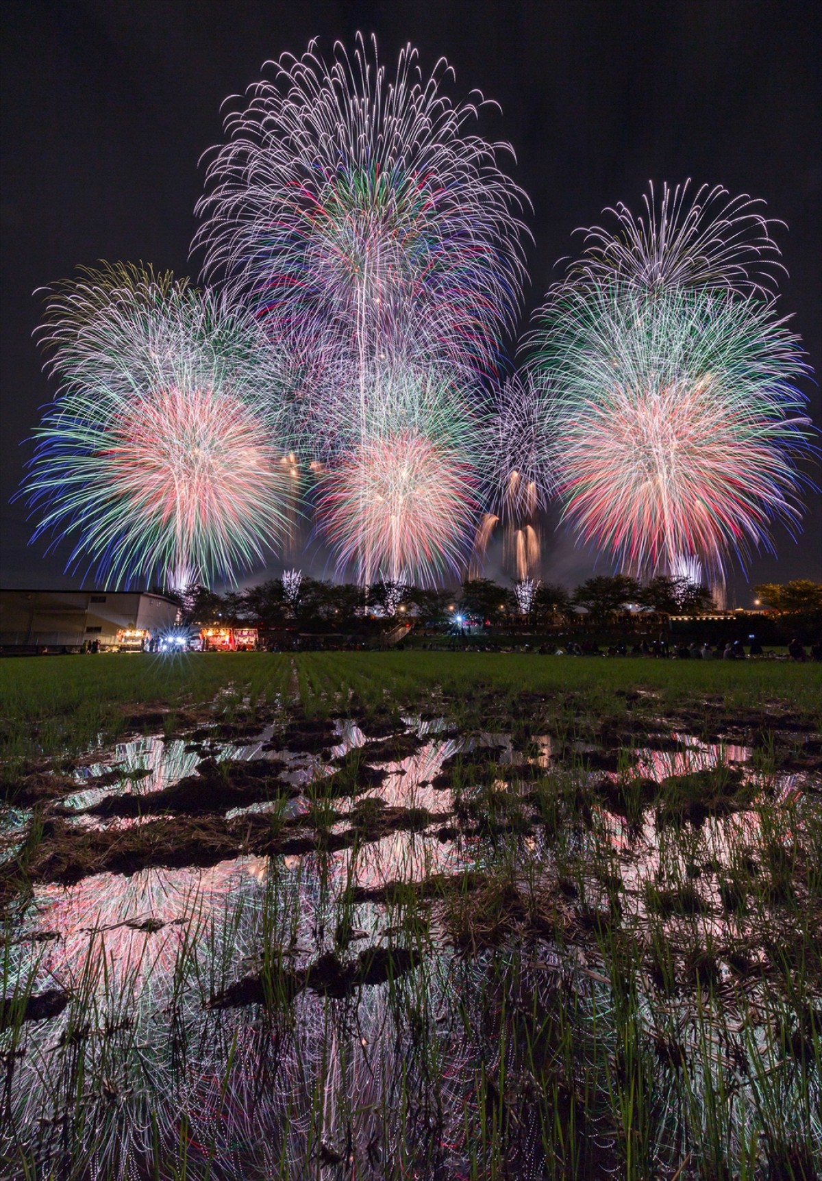 【秋の夜空を彩る関東の花火大会】