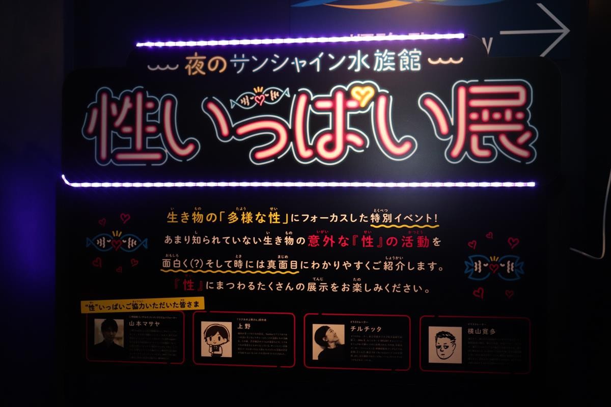 性いっぱい展