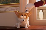 【動画】『ロイヤルコーギー レックスの大冒険』本編映像＜幼いレックス＞