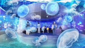 京都水族館リニューアル