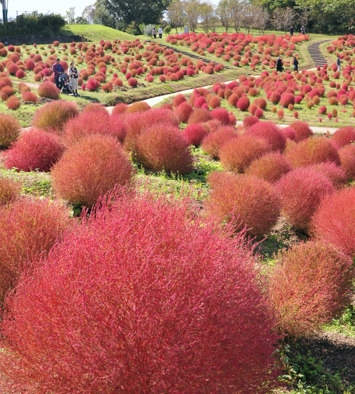 上級者向け「香川県」秋旅のお勧めをピックアップ