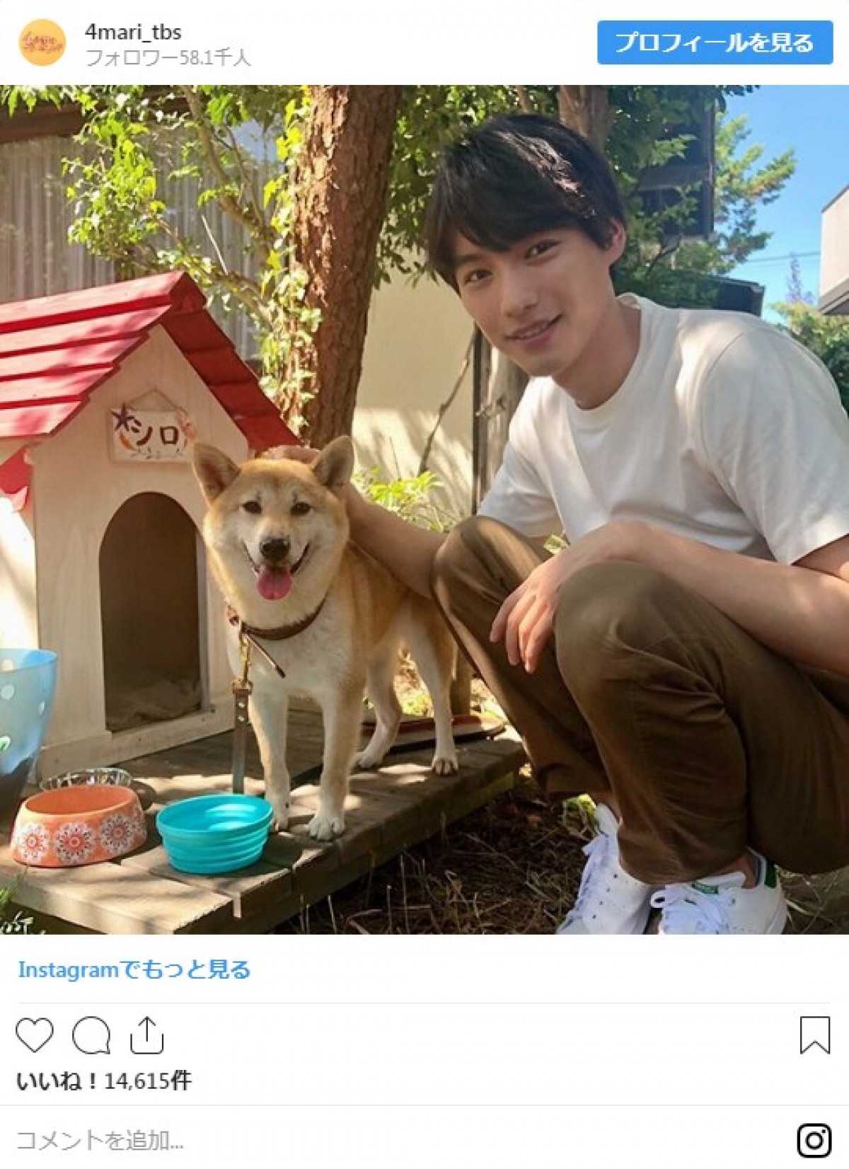 福士蒼汰＆菜々緒、愛犬との3ショット披露に「みんなかわいい」と反響