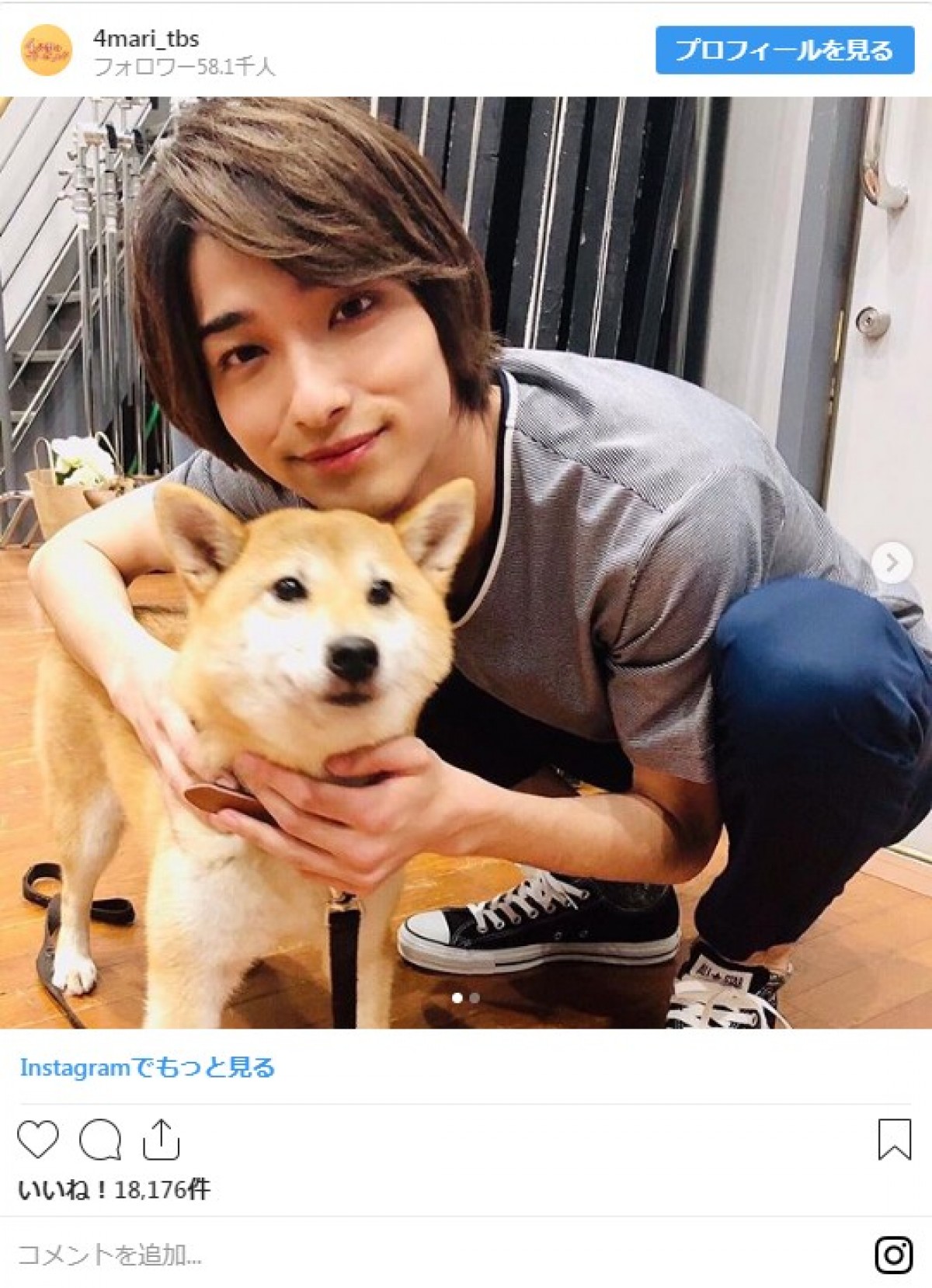 福士蒼汰＆菜々緒、愛犬との3ショット披露に「みんなかわいい」と反響
