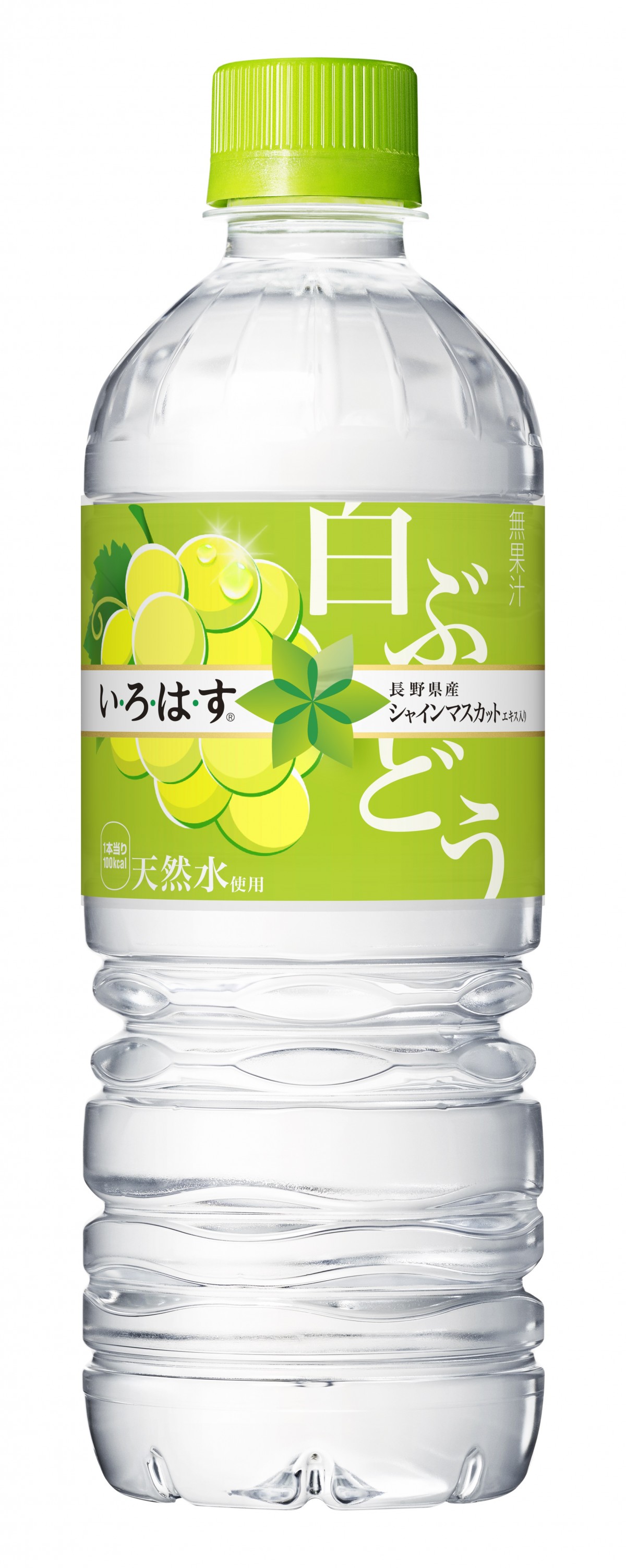 2019年秋発売の飲み物