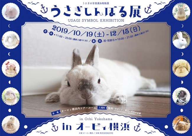 うさぎしんぼる展 10 18から横浜で初開催 かわいいウサギの写真 グッズが集合 19年10月14日 イベント クランクイン トレンド