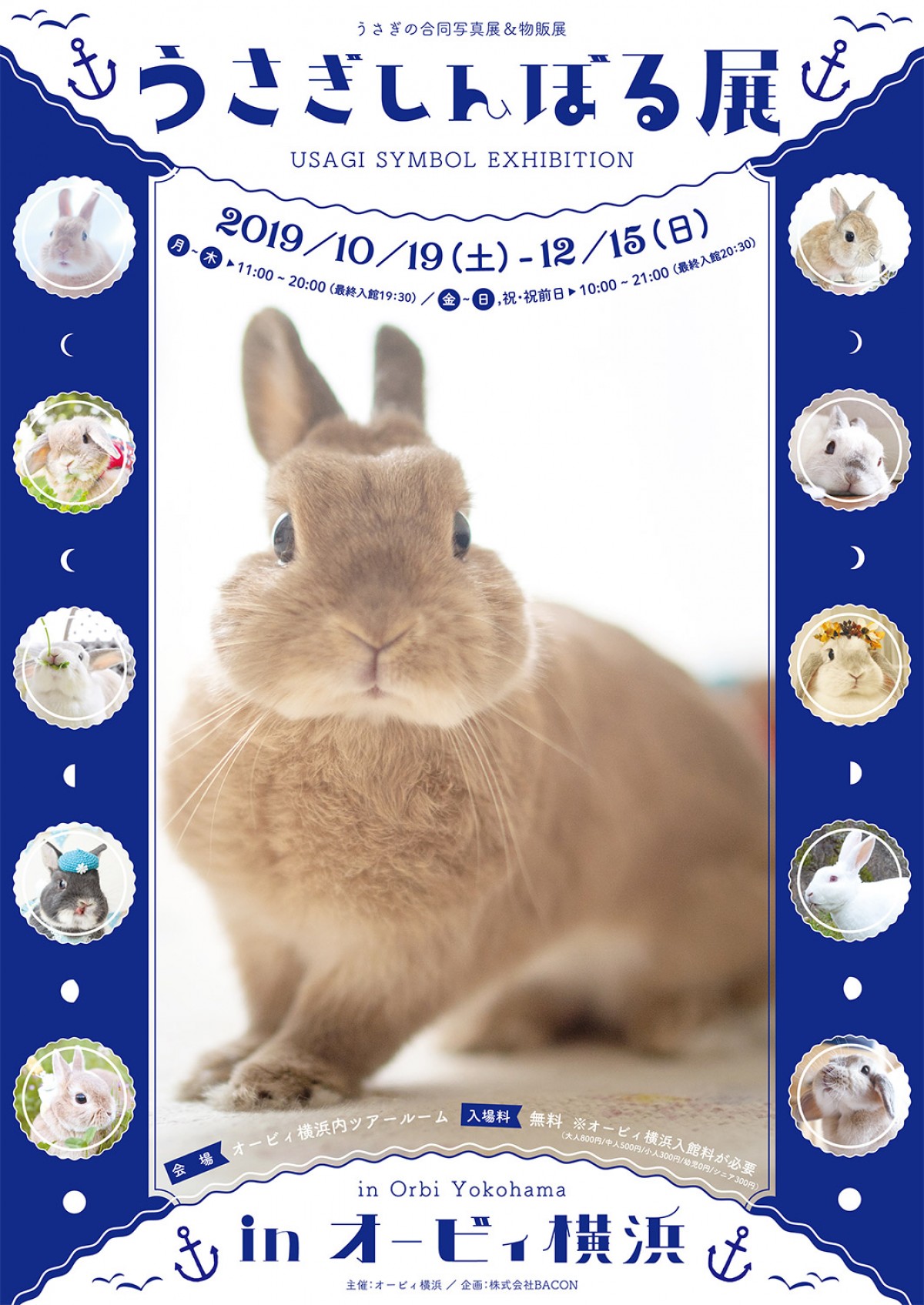 かわいいウサギの写真＆グッズが集合　「うさぎしんぼる展」横浜で開催