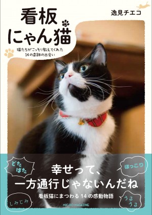 「看板にゃん猫」写真展10．22から開催！　美味しい珈琲と可愛い写真が楽しめる