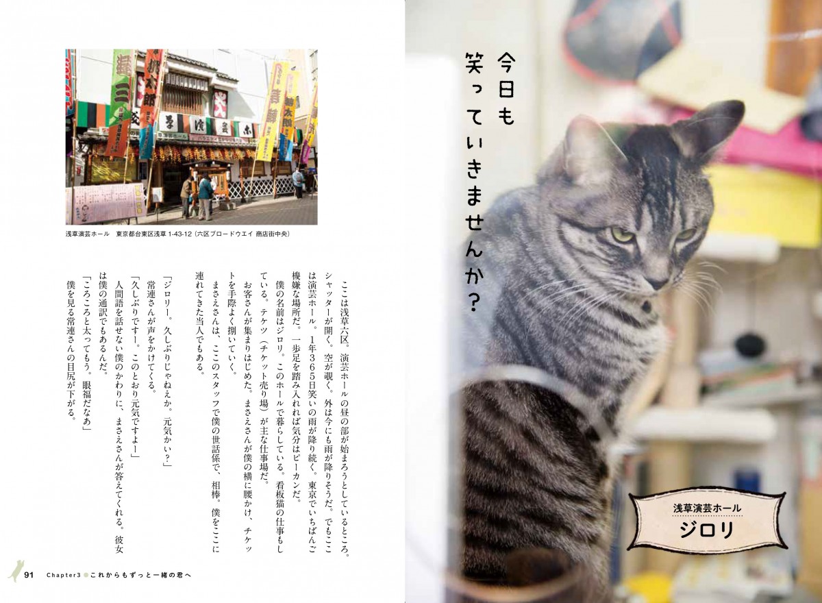 看板にゃん猫