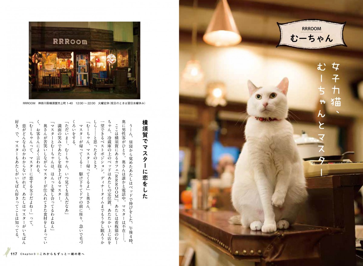 看板にゃん猫