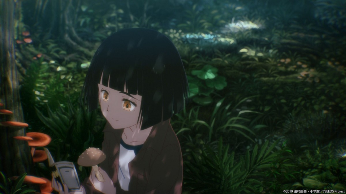 アニメ『7SEEDS』第2期制作決定　第1期は2020年1月よりTV放送開始