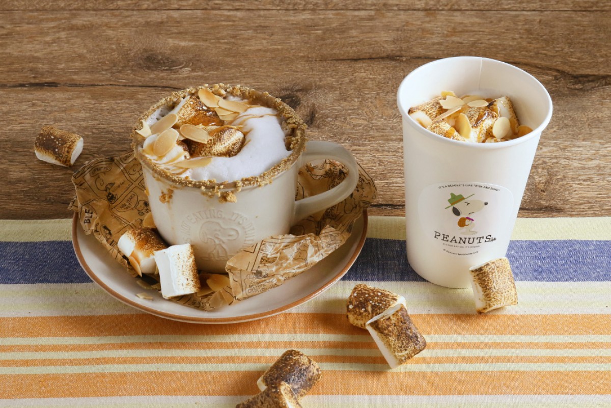 ビーグル・スカウト フェア