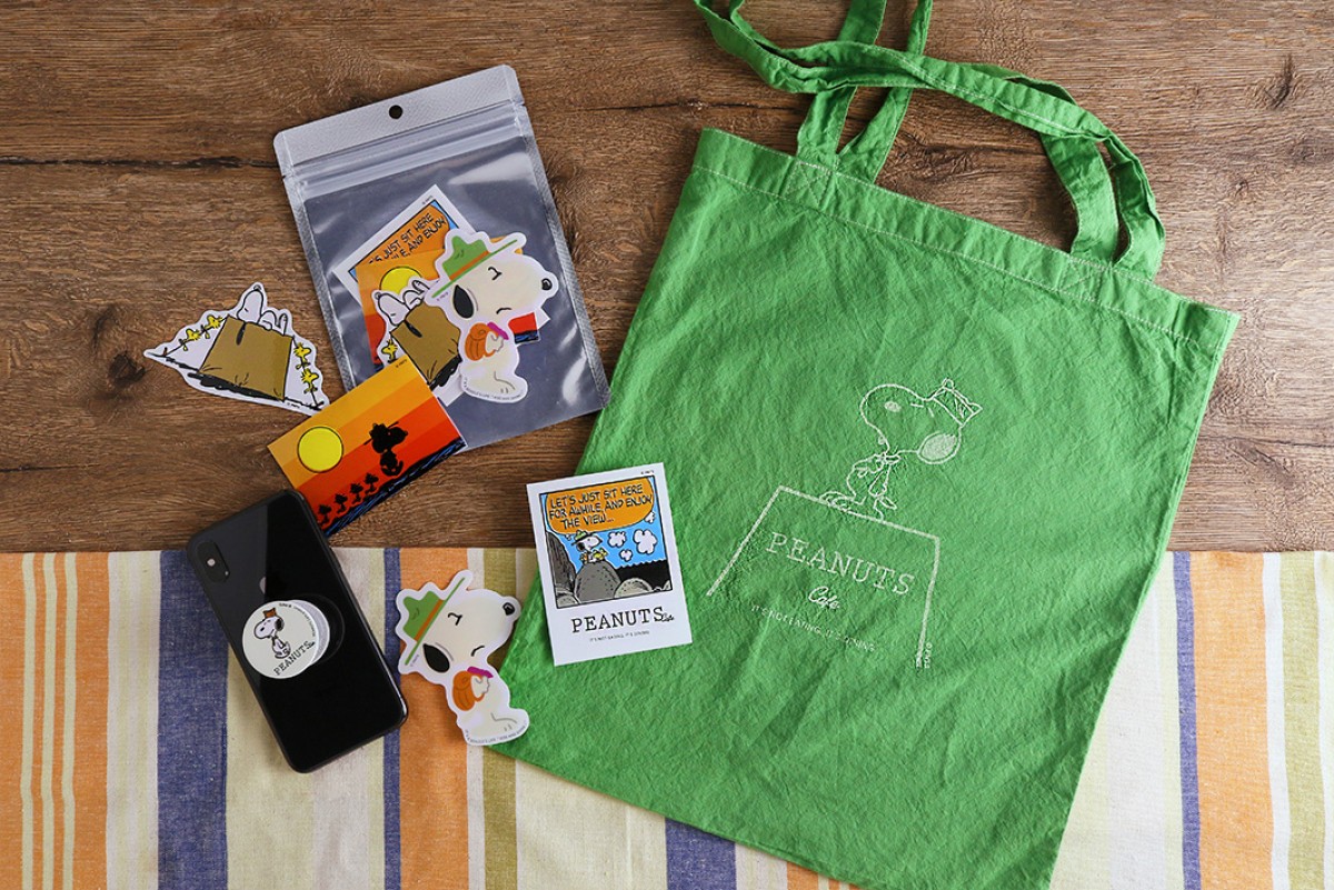 ビーグル・スカウト フェア