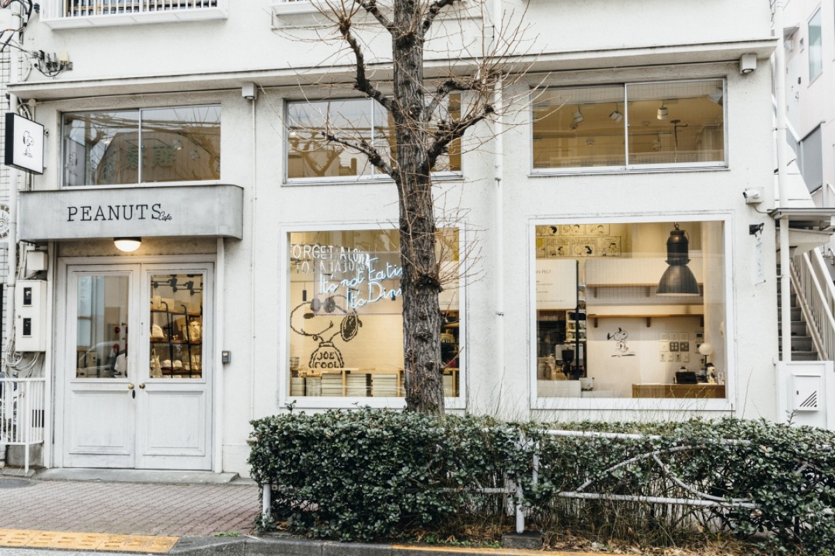 ビーグル・スカウト フェア