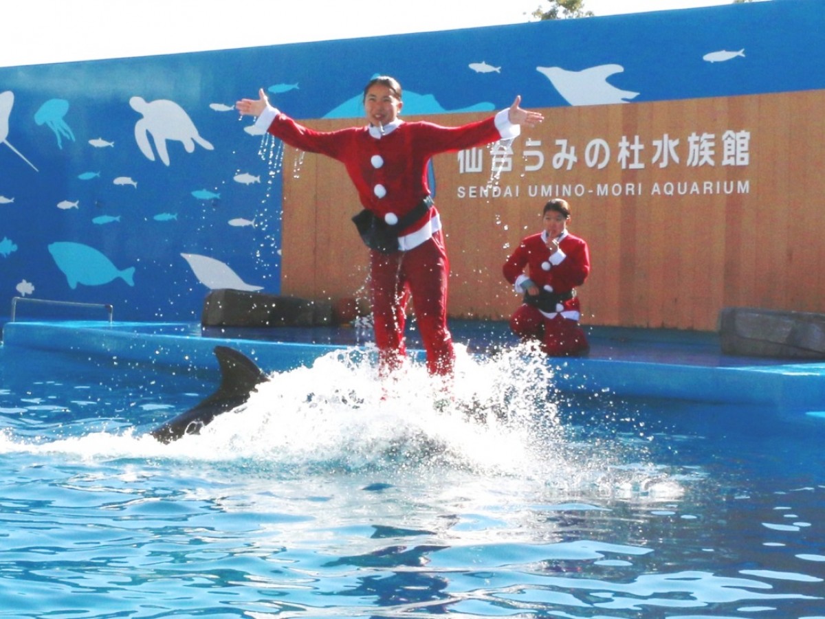 仙台うみの杜水族館「UMINOMORI WINTER クリスマス」