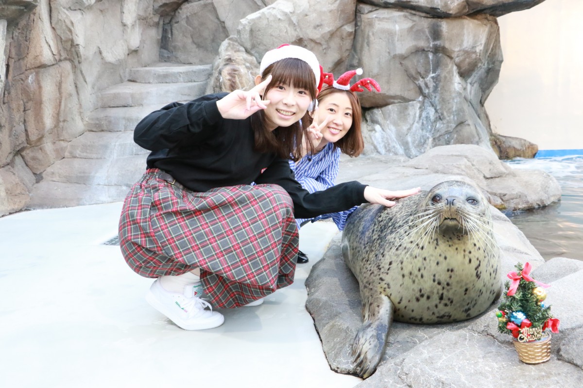 仙台うみの杜水族館「UMINOMORI WINTER クリスマス」