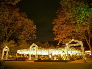 紅葉をライトアップ、埼玉・武蔵丘陵森林公園で「紅葉見ナイト」