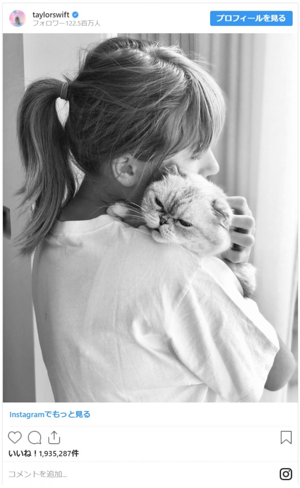 テイラー・スウィフト、2匹の子猫を抱きよせる姿に190万「いいね！」