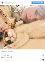 テイラーの愛猫のベンジャミン・バトン　※「テイラー・スウィフト」インスタグラム