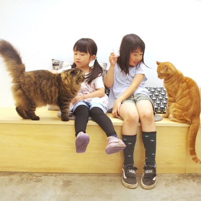 都内最大級の猫カフェが南町田・グランベリーパークにオープン！