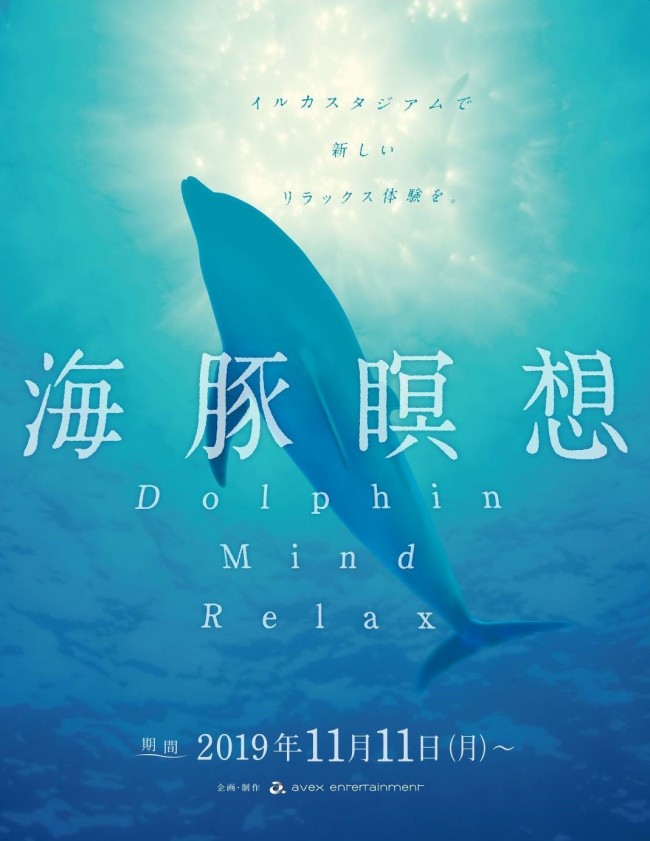 イルカの“息づかい”を感じながらリラックス　「京都水族館」に新プログラム登場
