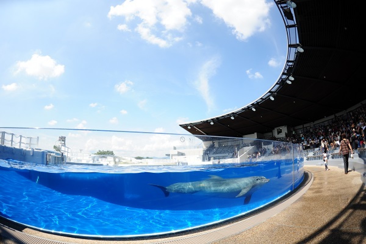 京都水族館