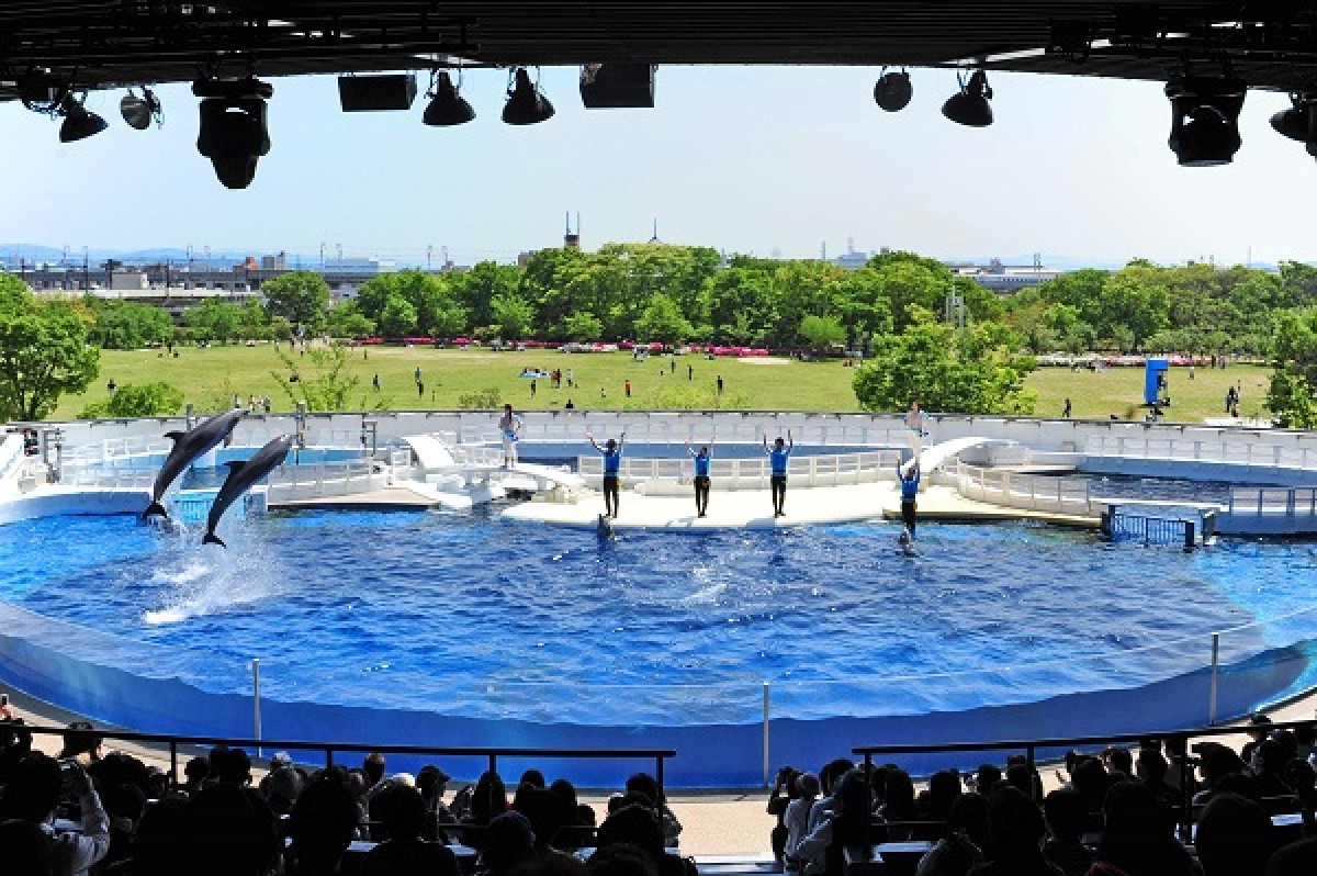 京都水族館