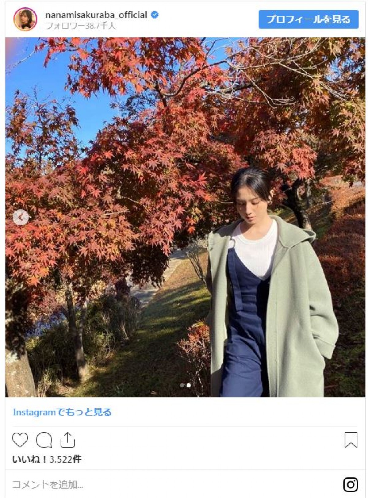 桜庭ななみ、美女×紅葉 “美の共演”にファン「素敵」「きれい」