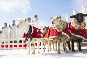 リゾナーレクリスマス 2019