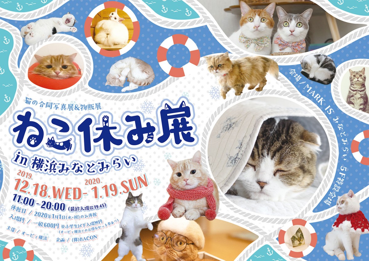 ねこ休み展 in 横浜みなとみらい