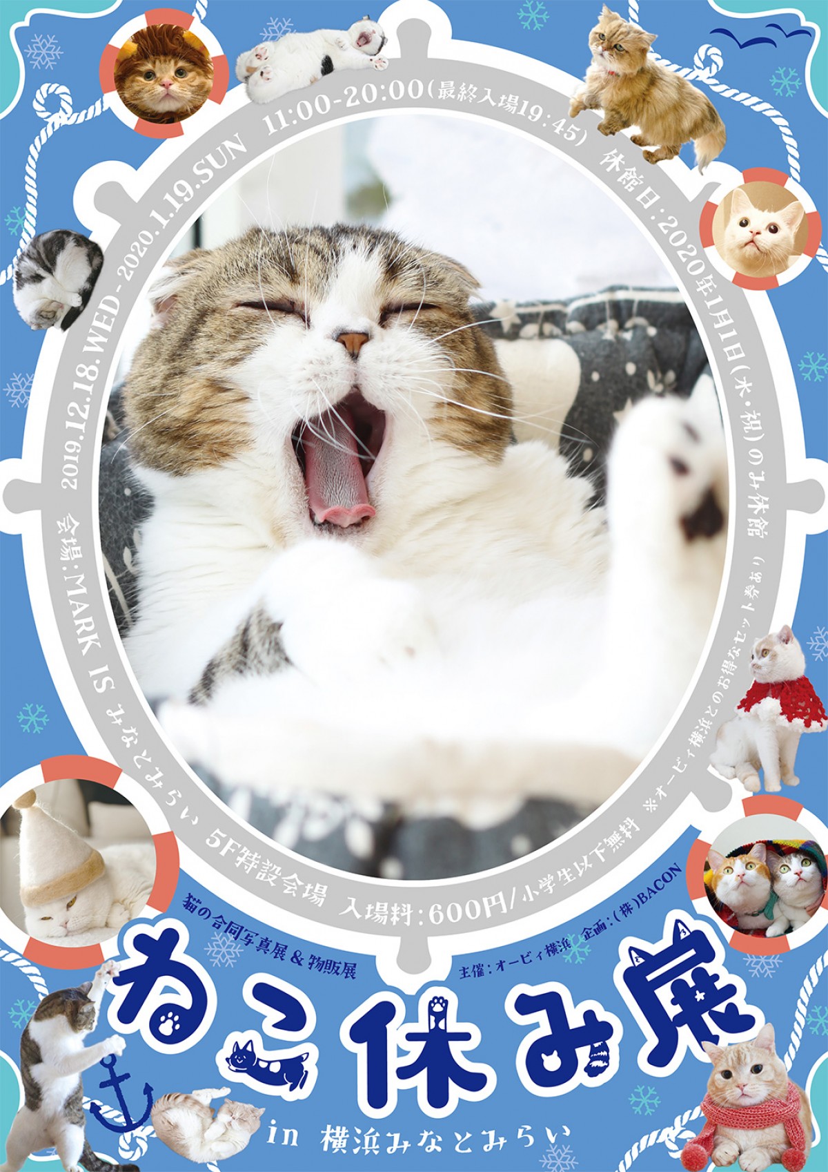 ねこ休み展 in 横浜みなとみらい
