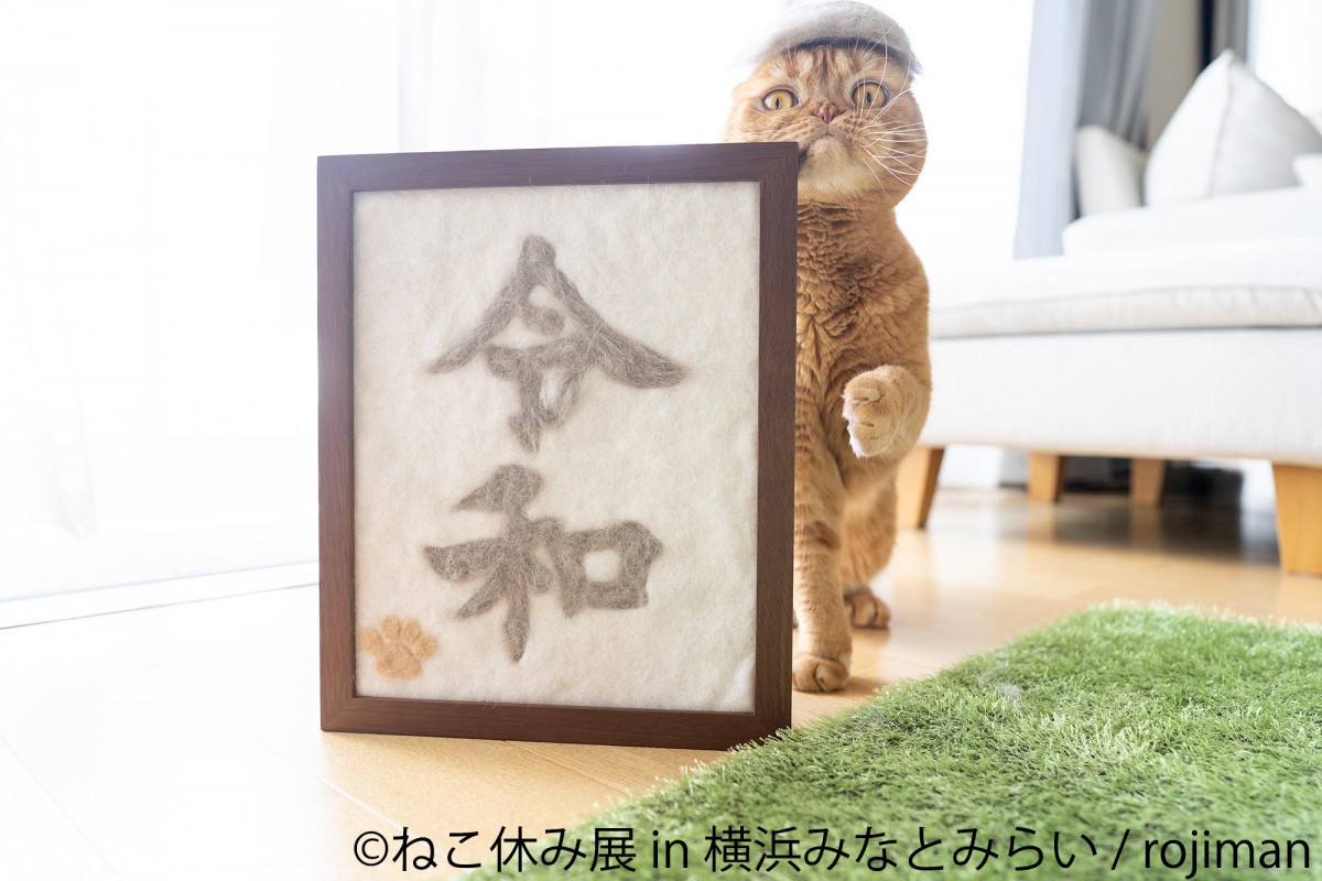 ねこ休み展 in 横浜みなとみらい