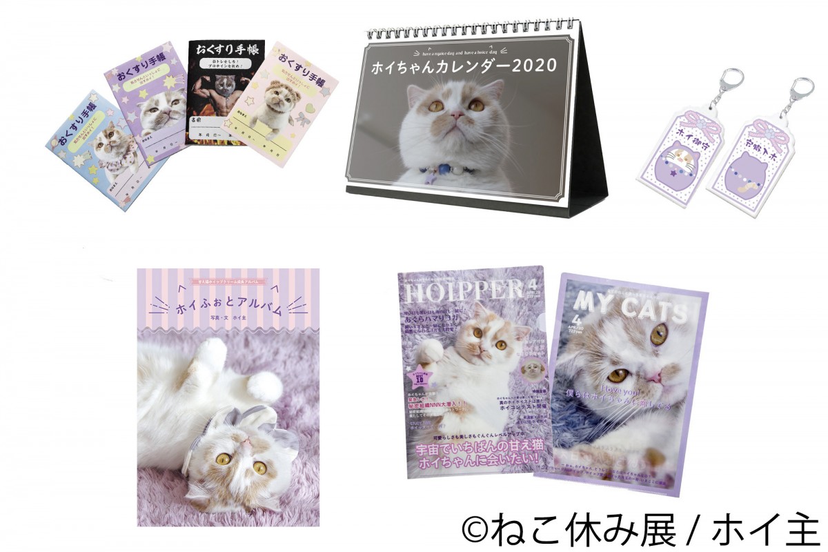 ねこ休み展 in 横浜みなとみらい