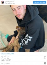 ニック・ジョナスと愛犬ジノ　※「Gino Jonas」インスタグラム