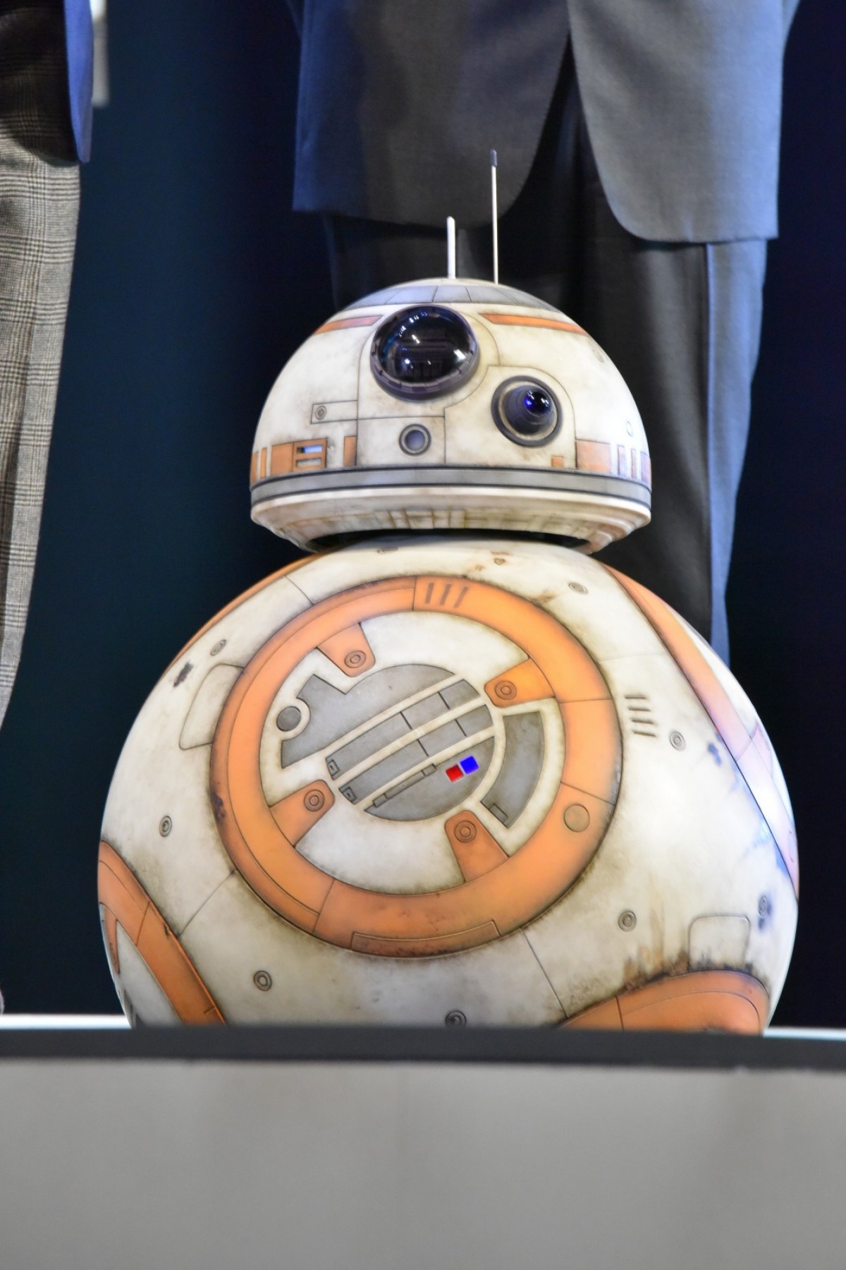『スター・ウォーズ』キャストが来日！ デイジー・リドリーが日本語で盛り上げ