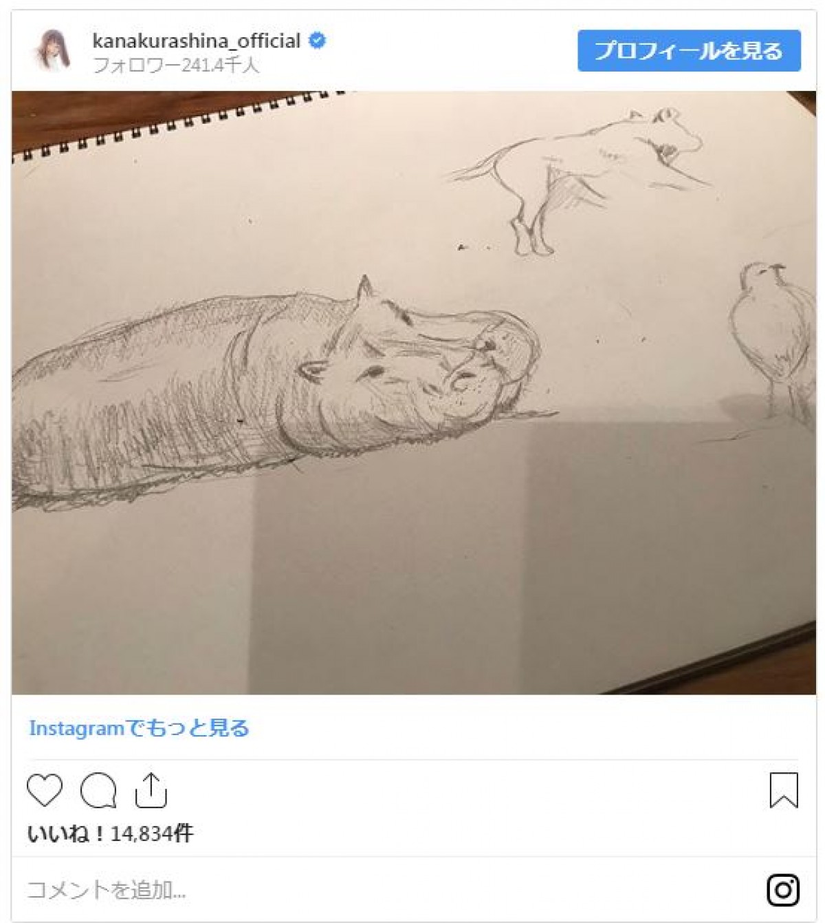 倉科カナ、深夜になぜか“カバの絵”投稿　ファン「うまい」と驚き