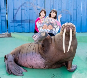 伊勢シーパラダイス